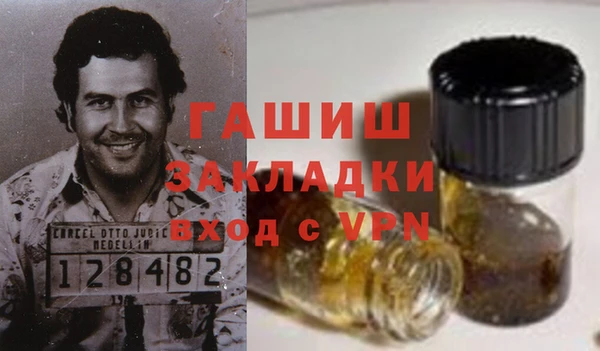 прущие грибы Переславль-Залесский