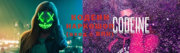 СК Пересвет